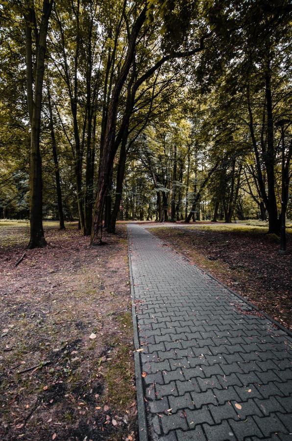 Apartament Deluxe Arcon Siemianowice Śląskie 外观 照片